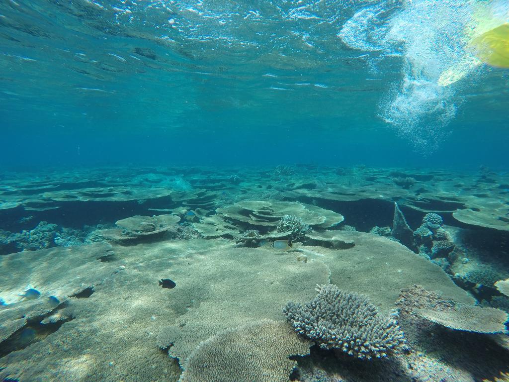 Holiday Haven Ukulhas מראה חיצוני תמונה