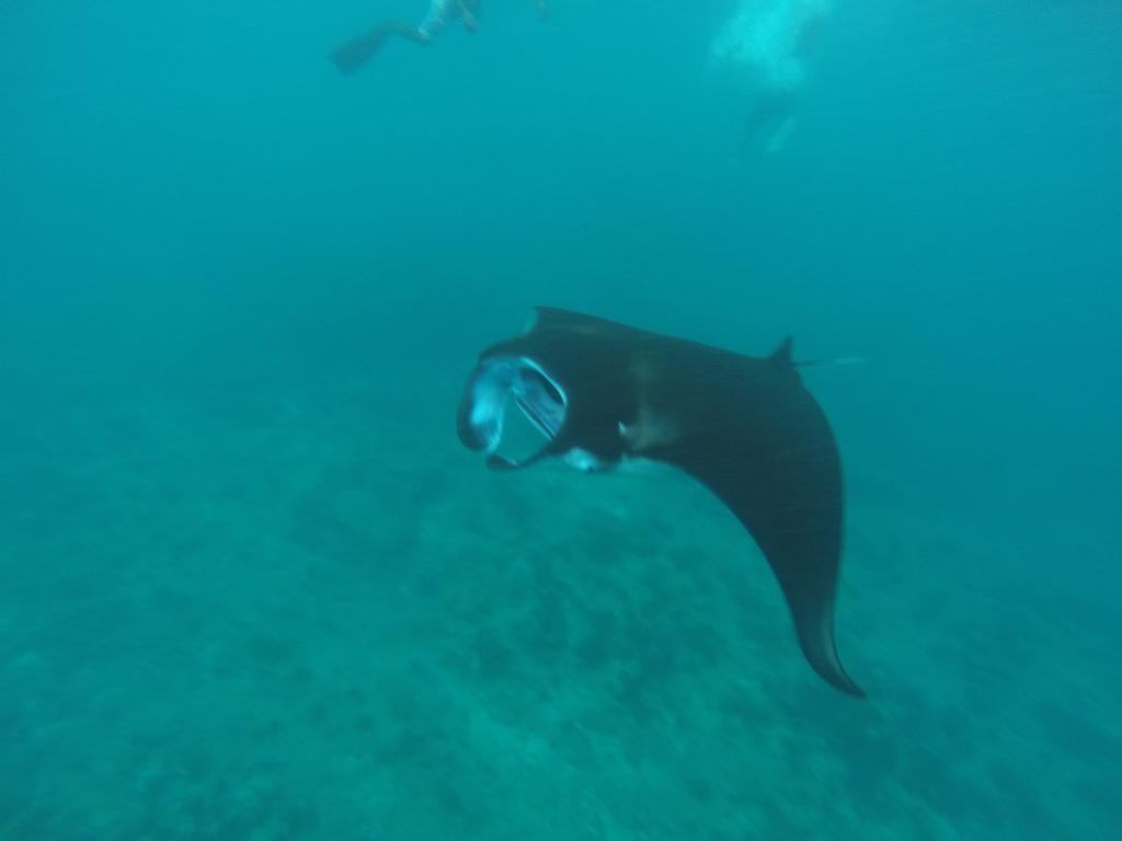 Holiday Haven Ukulhas מראה חיצוני תמונה